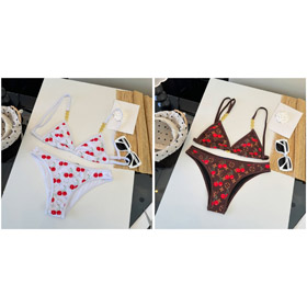 Louis Vuitton (LV) Push-Up Printed Sexy Two-Piece Bikini-6443  