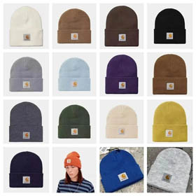 Carhartt hat (16 style)-0289  